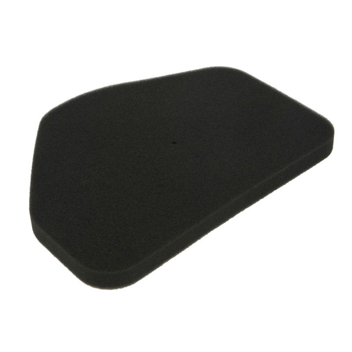 Luftfilter ATHENA S410210200011