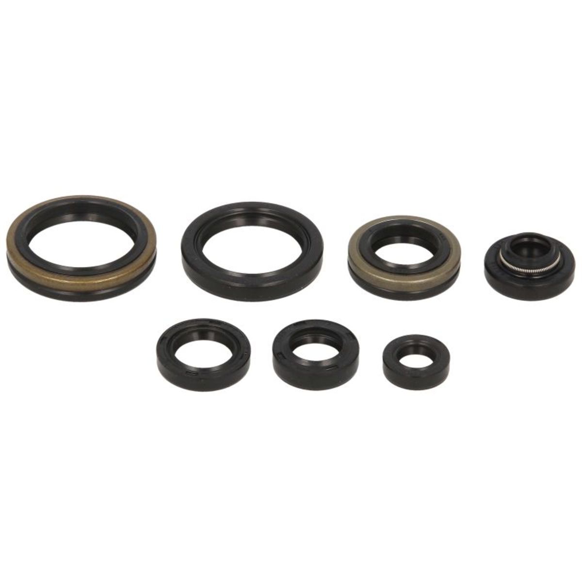 Motorsimmerringsatz WINDEROSA W822267