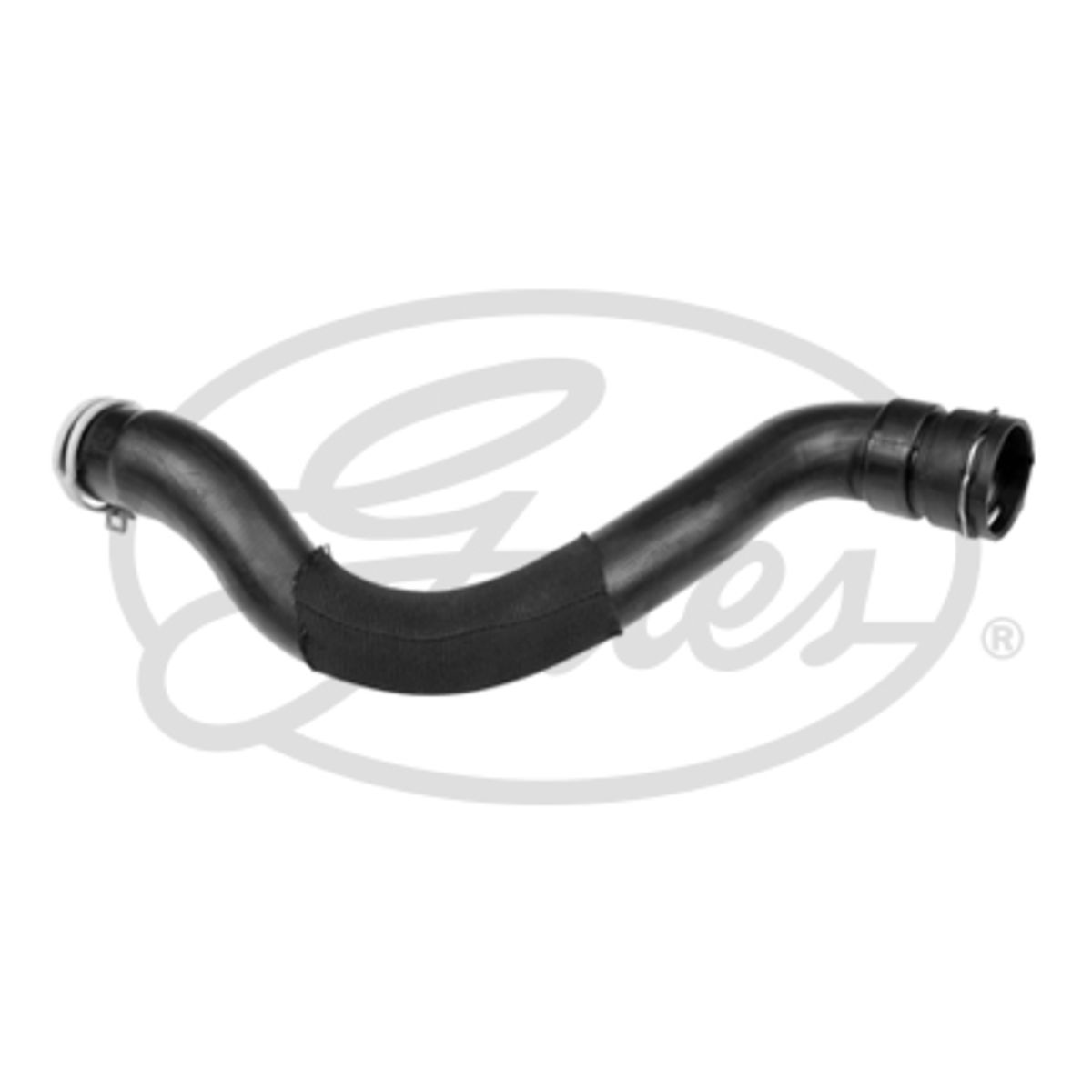Image of Radiatorslang
