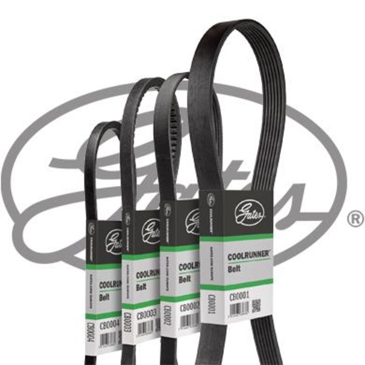 Image of V-riem  GAT