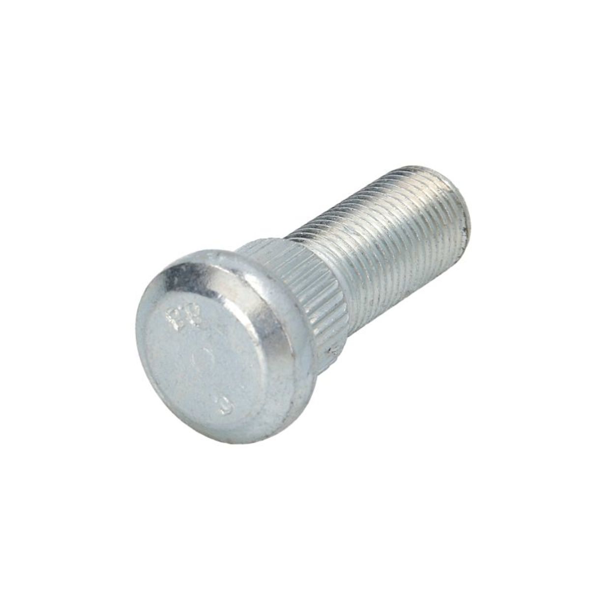 Image of Wielbout  40025