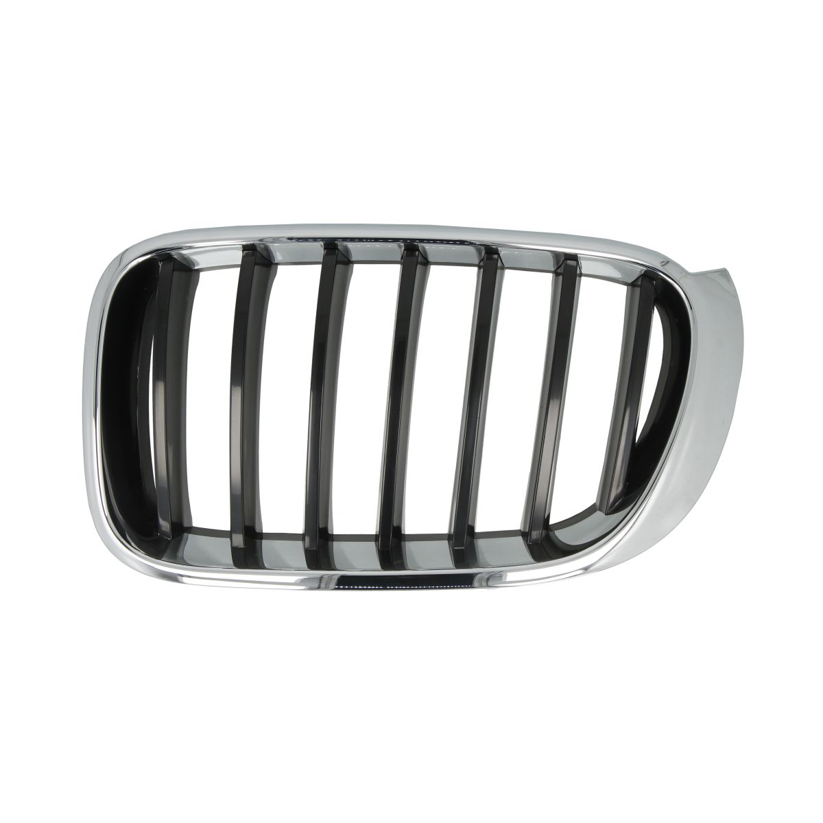 Blic Radiatorrooster 6502-07-00939933P Links