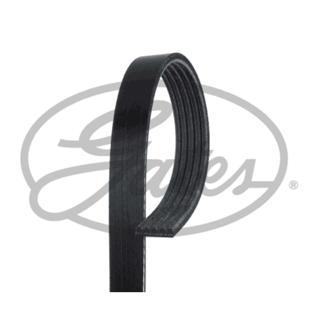 Image of V-riem