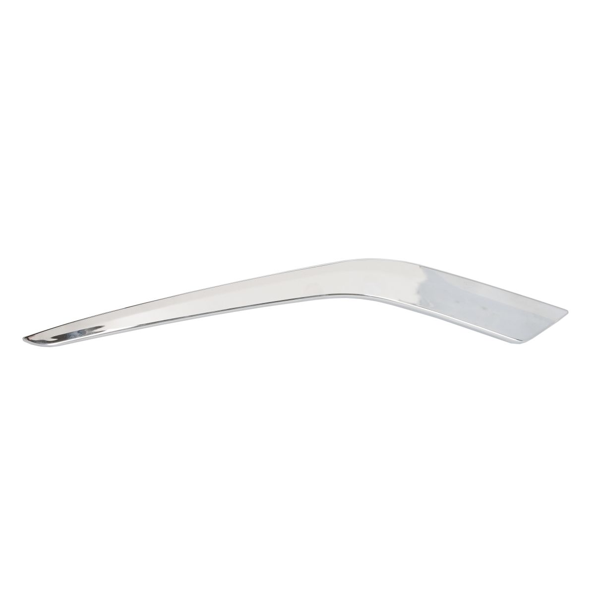 Parachoques - moldura decorativa/protectora BLIC 6502-07-5509916PP derecha