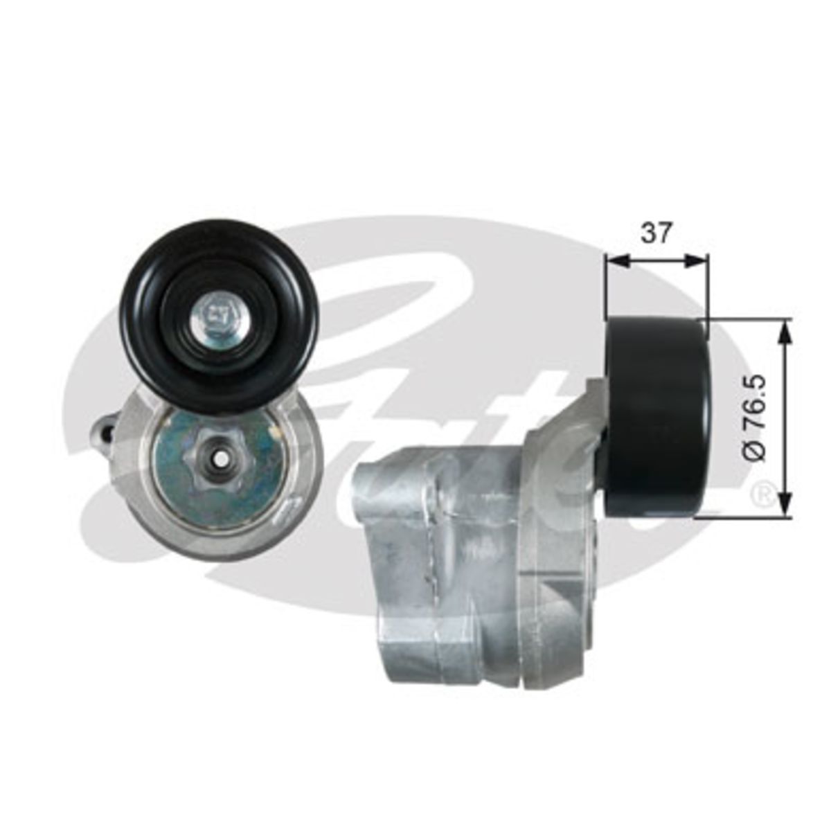 Image of Spanpoelie, V-riem