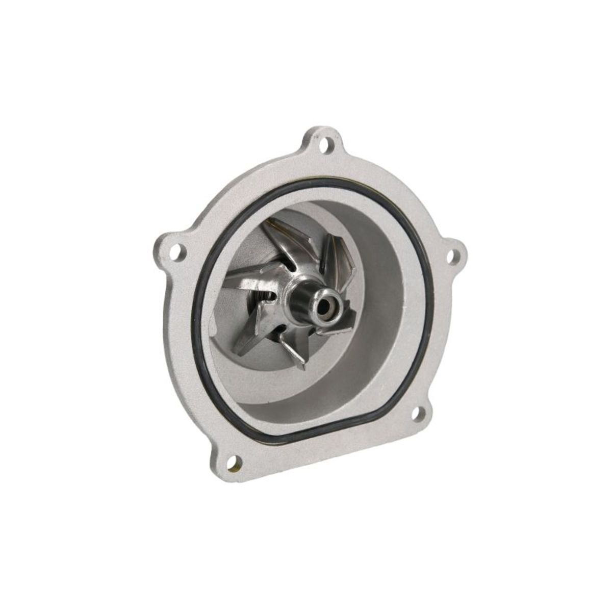 Thermotec Wasserpumpe D1k019tt