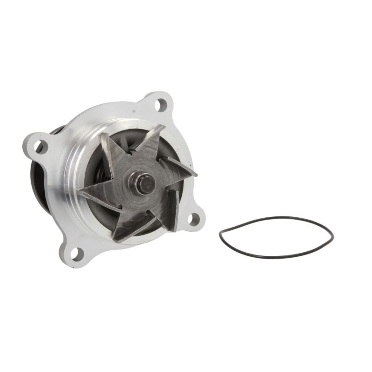 Magneti Marelli Koelvloeistof Pomp 352316171312