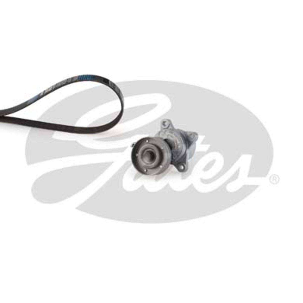 Image of Poly V-riem set  GAT