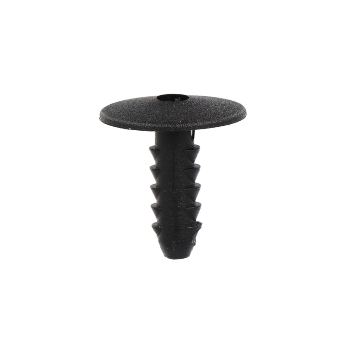 Image of Clip  , 10 Stuk