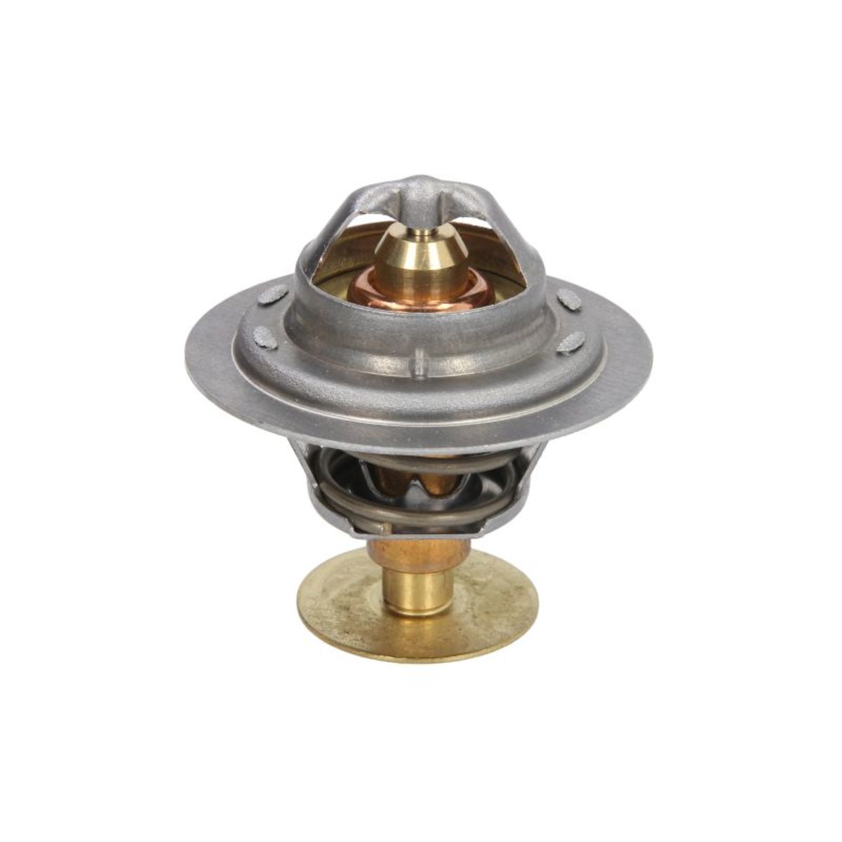 Thermostat d'eau CALORSTAT BY VERNET TH6593.82
