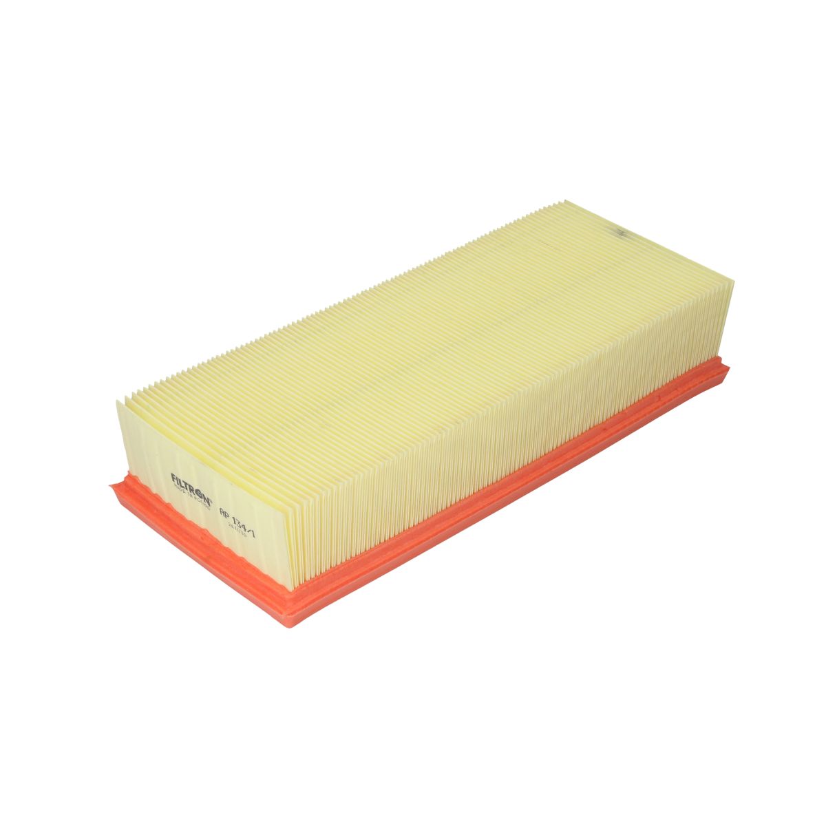 Filtron Filtro Aria Ap134/1