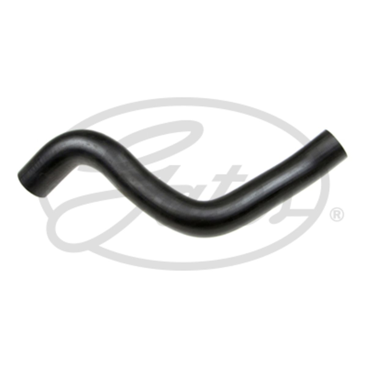Image of Radiatorslang