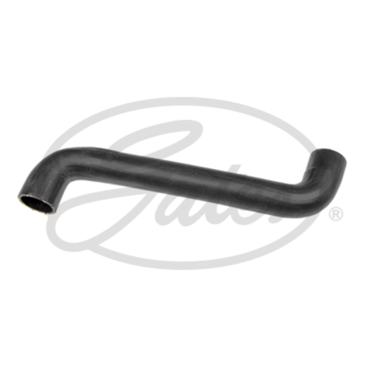 Image of Radiatorslang