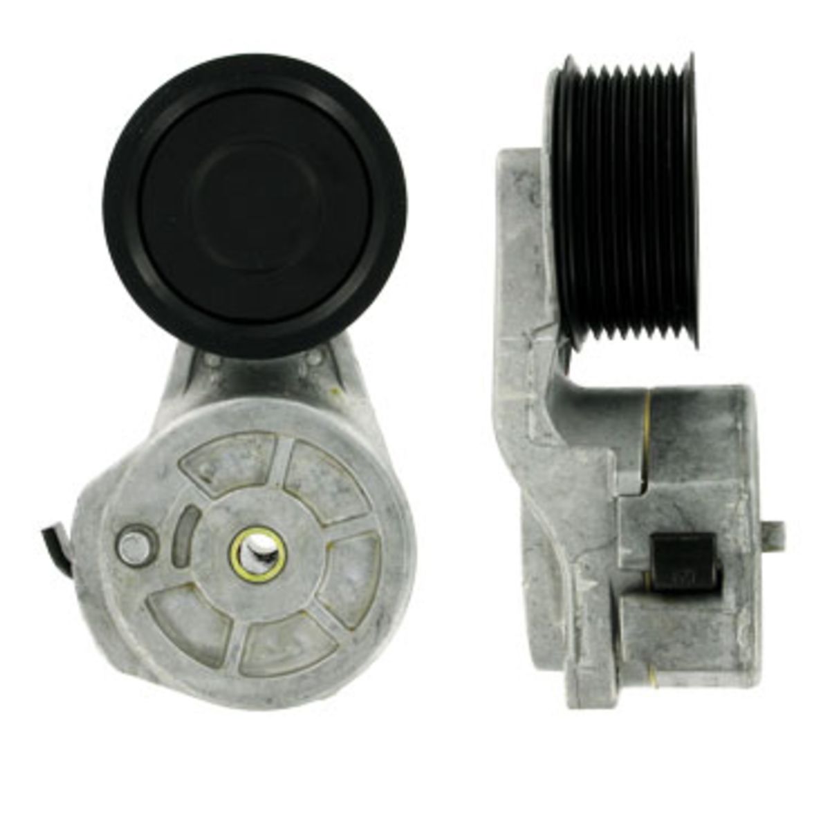 Image of Spanpoelie, V-riem