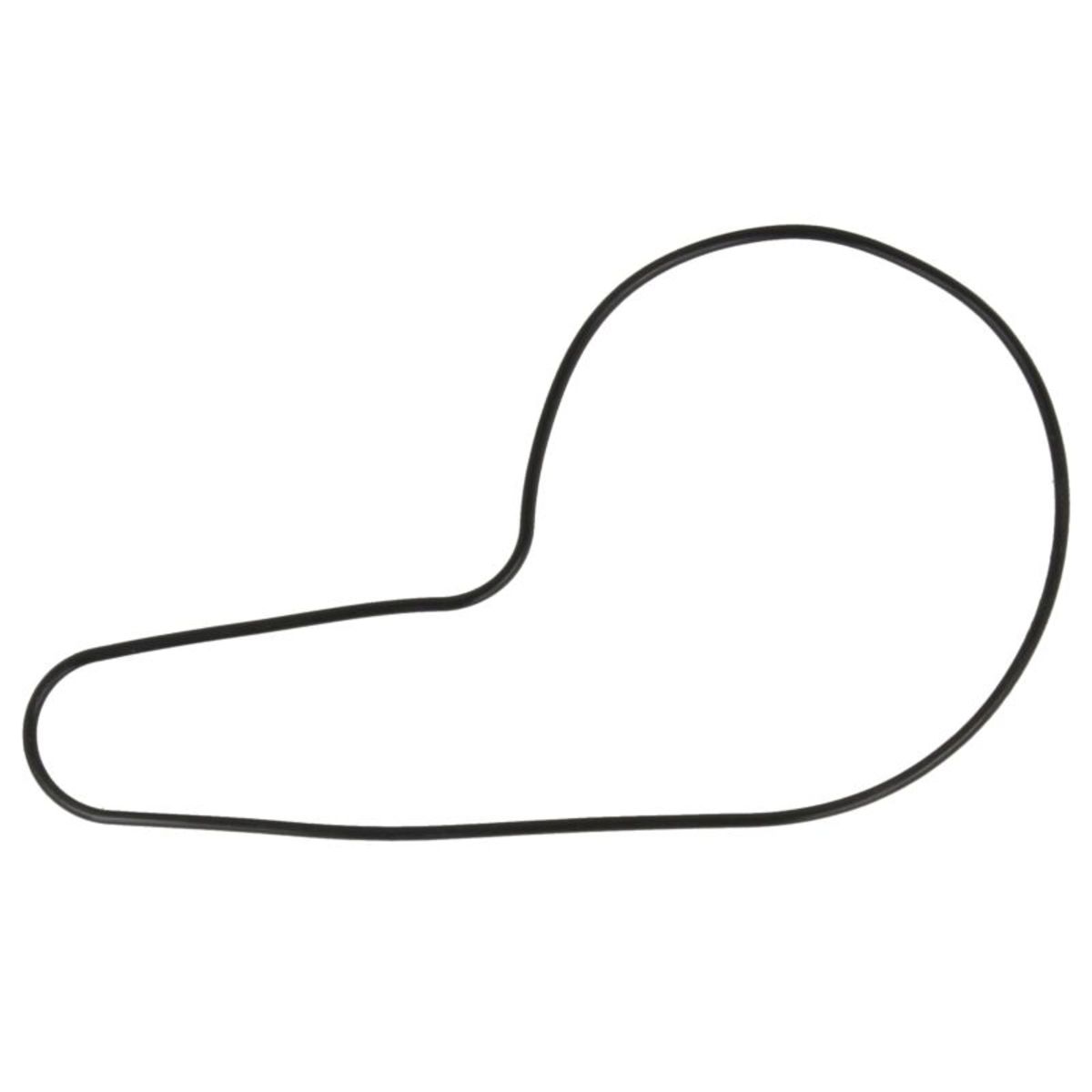 Water pump gasket ATHENA S410210024051