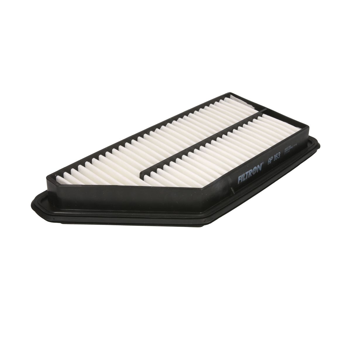 Filtron Filtro Aria Ap163