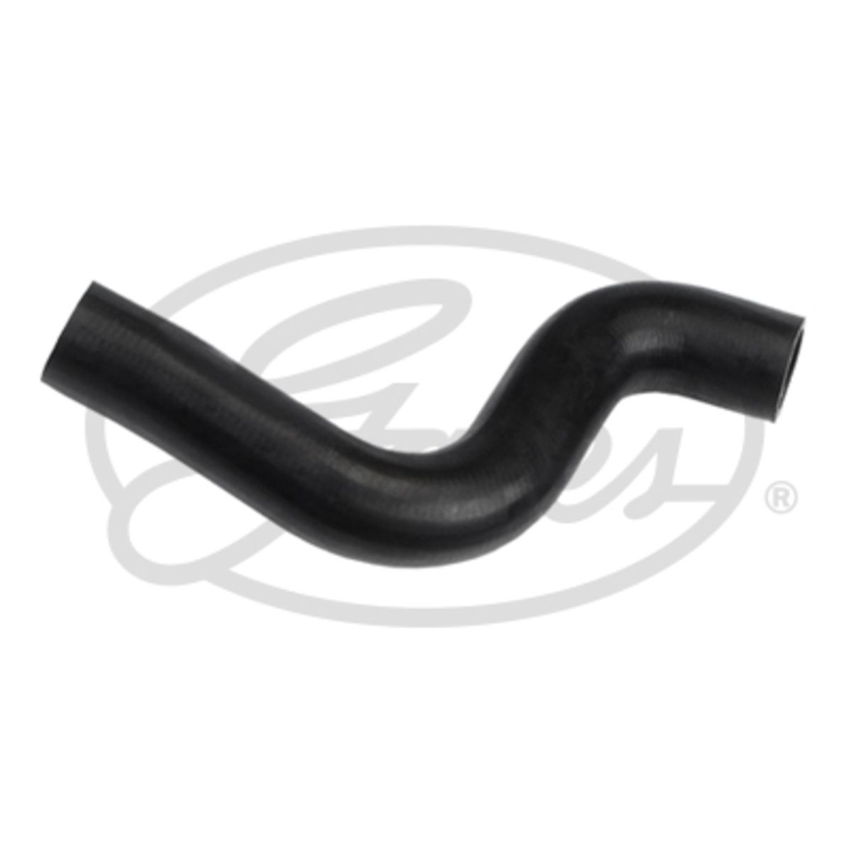 Image of Radiatorslang
