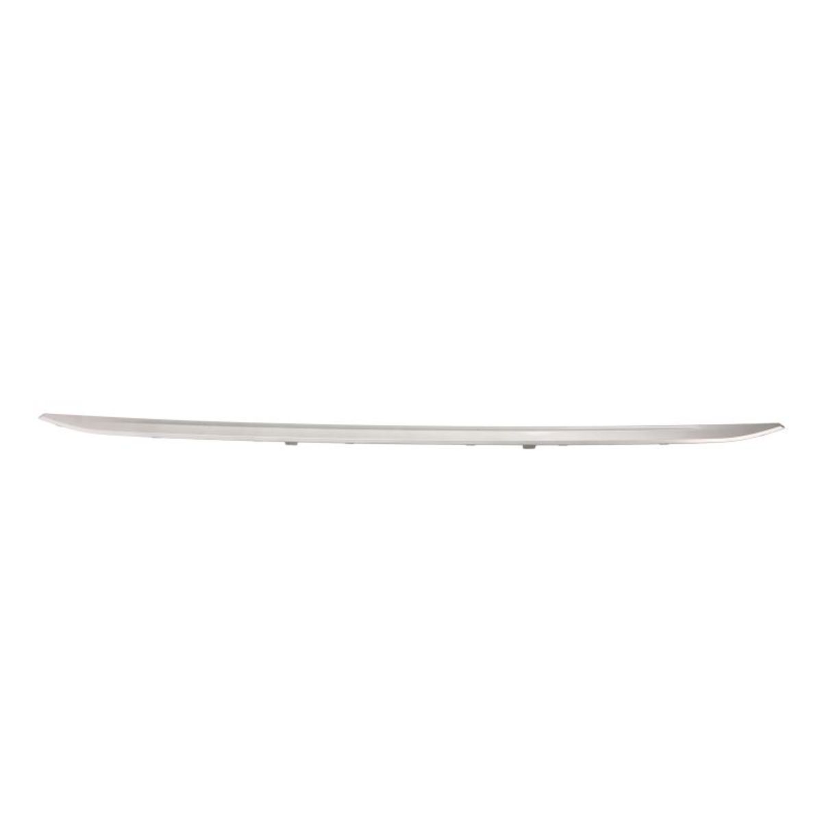 Sierlijst/beschermstrip, bumper BLIC 5513-00-0063928P