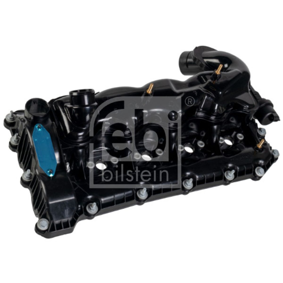 Cilinderkop afdekking  BILSTEIN