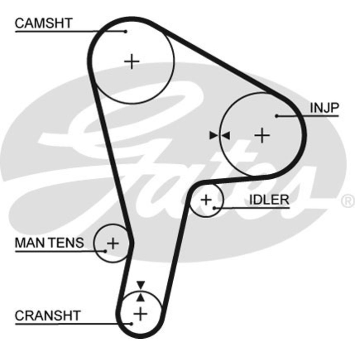 Image of Distributieriem