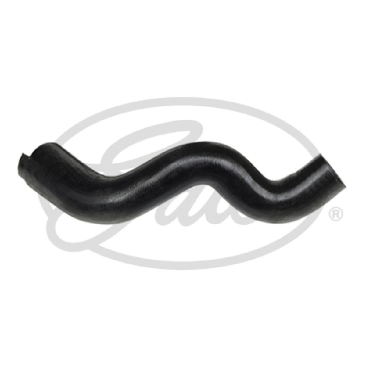 Image of Radiatorslang