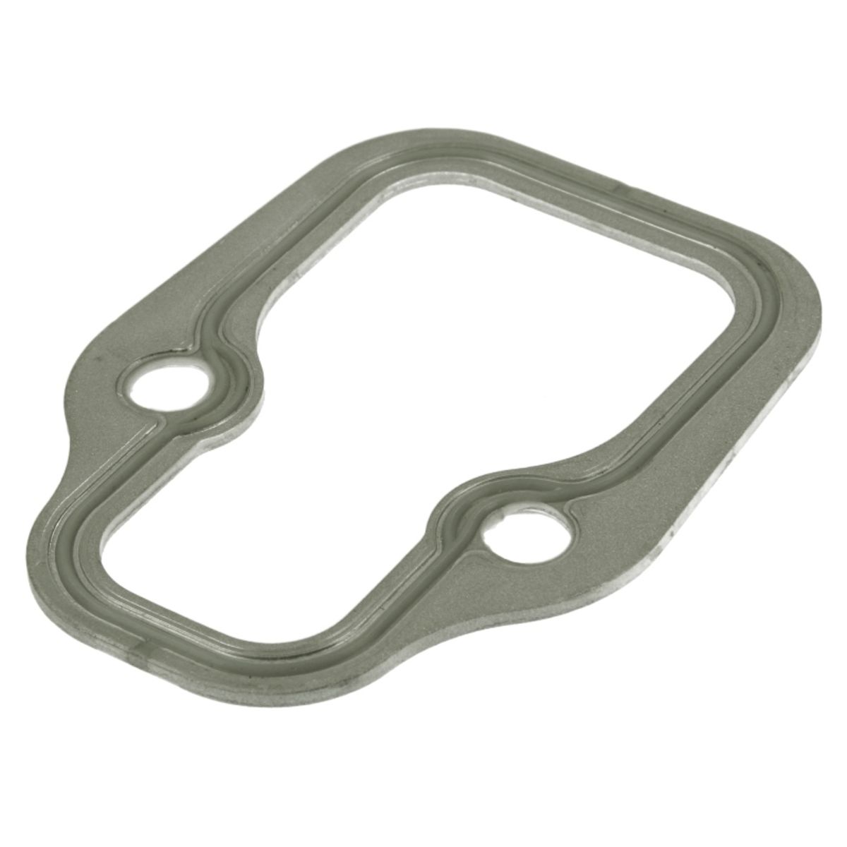 Dt Spare Parts Pakking, inlaatspruitstuk  4.20213