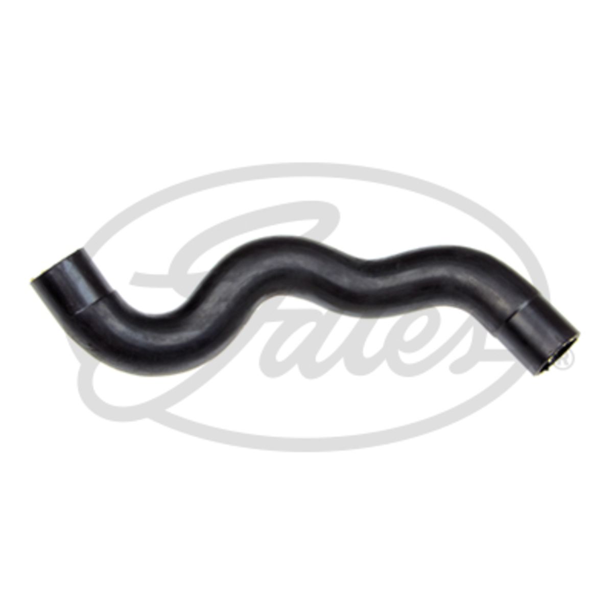 Image of Radiatorslang