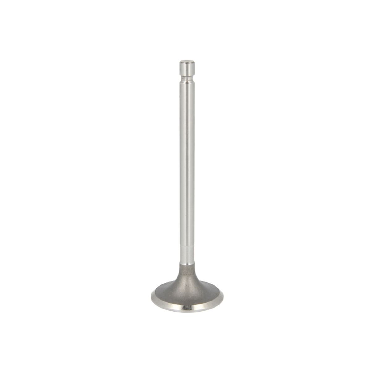 Paradowscy Inlaatklep  PURS011