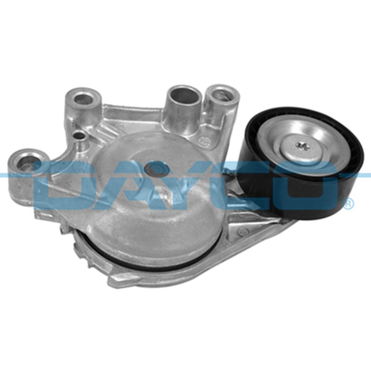 Image of Riemspanner, Poly V-riem