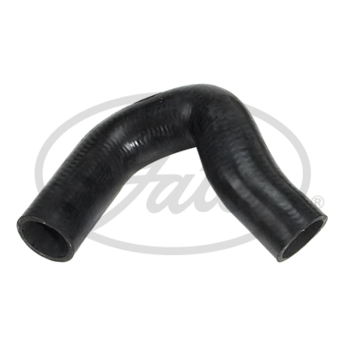 Image of Radiatorslang