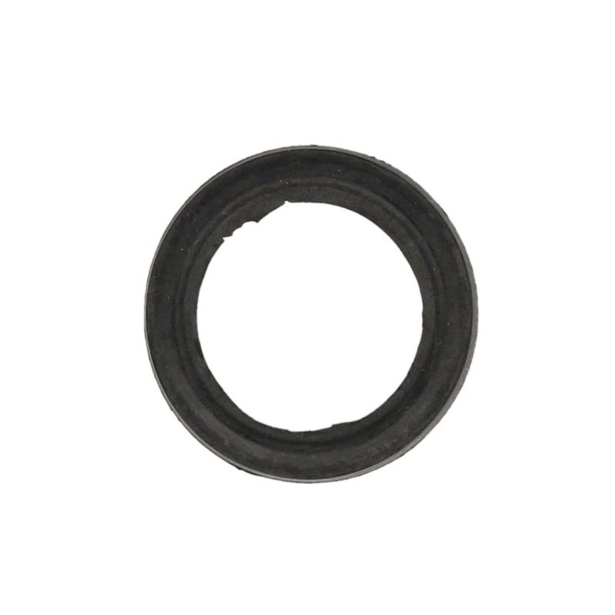 Gasket ATHENA S410250015066