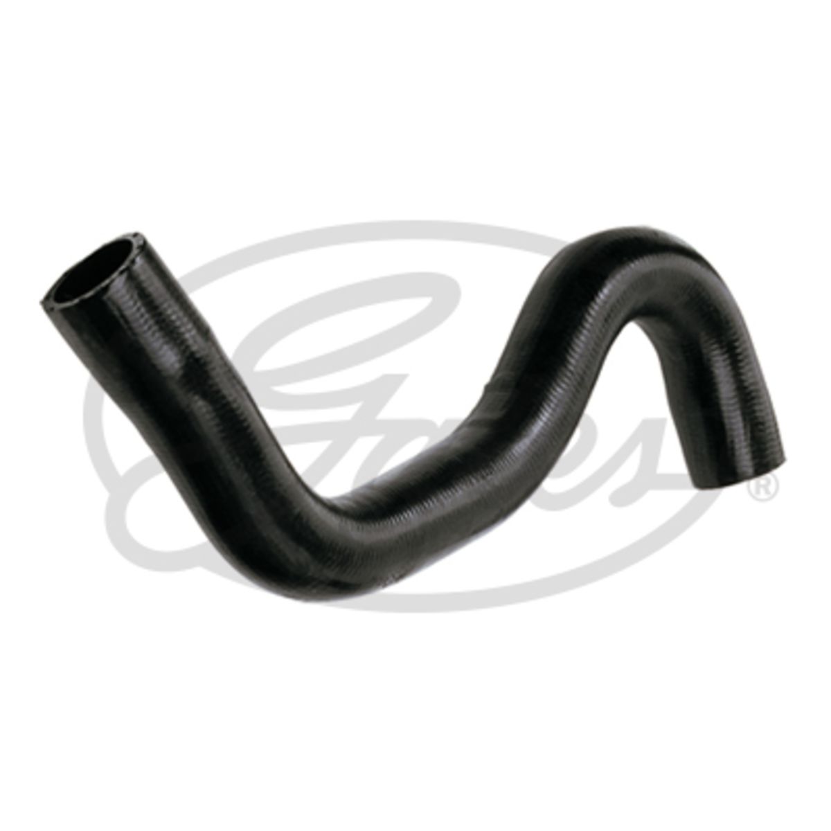 Image of Radiatorslang