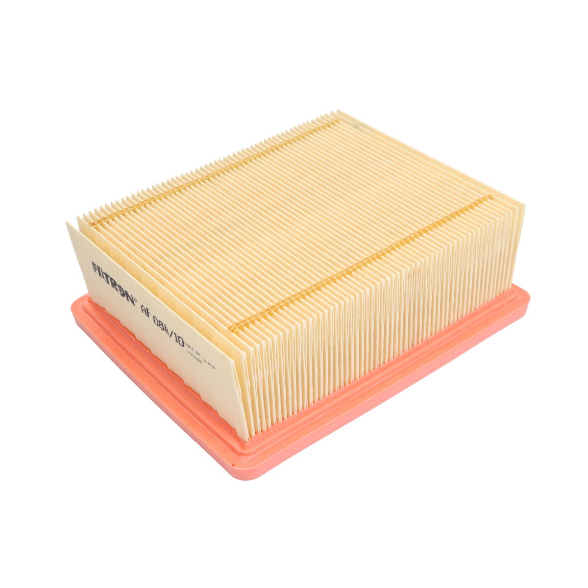 Filtron Filtro Aria Ap080/10