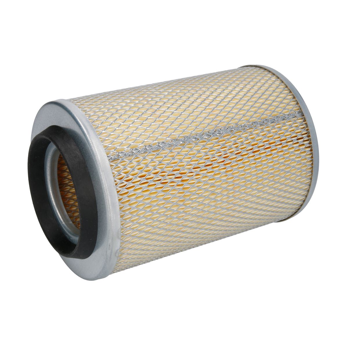 Filtron Filtro Aria Am407/1