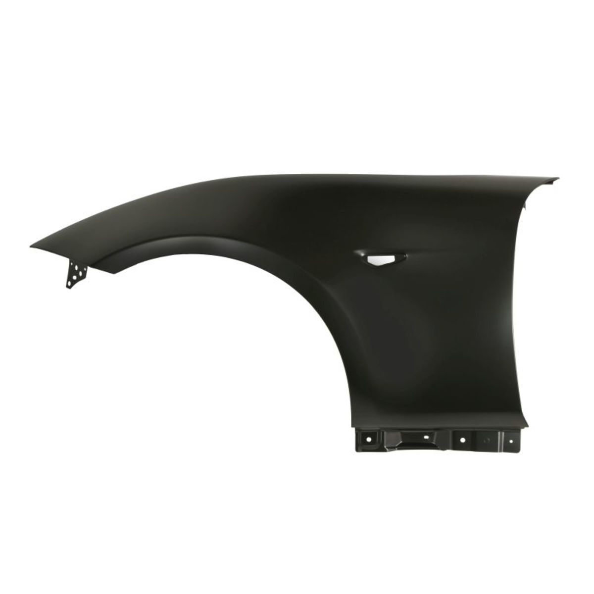 Blic Kotflügel 6504-04-3458311P, Links