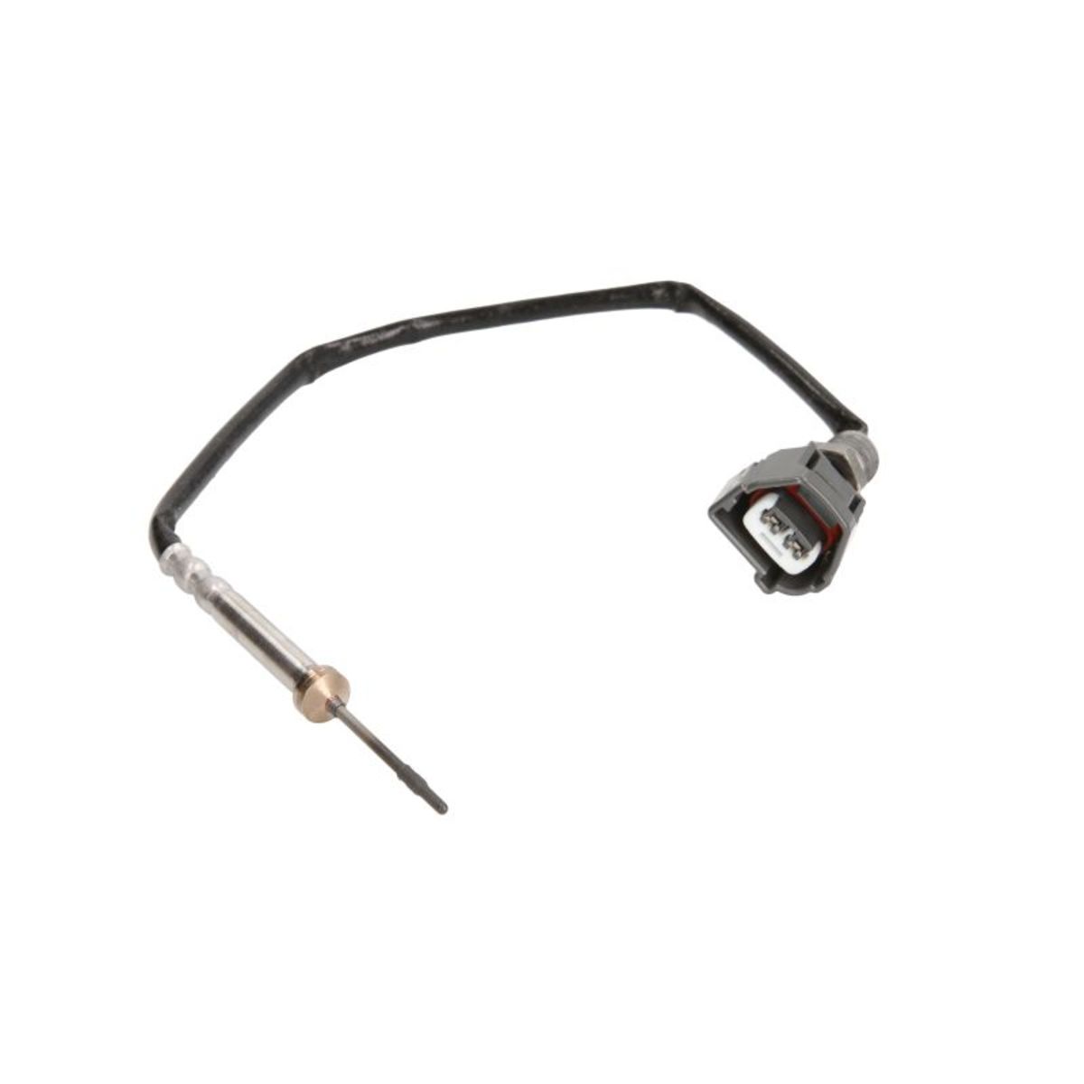 Meat & Doria Sensor, Abgastemperatur 12301