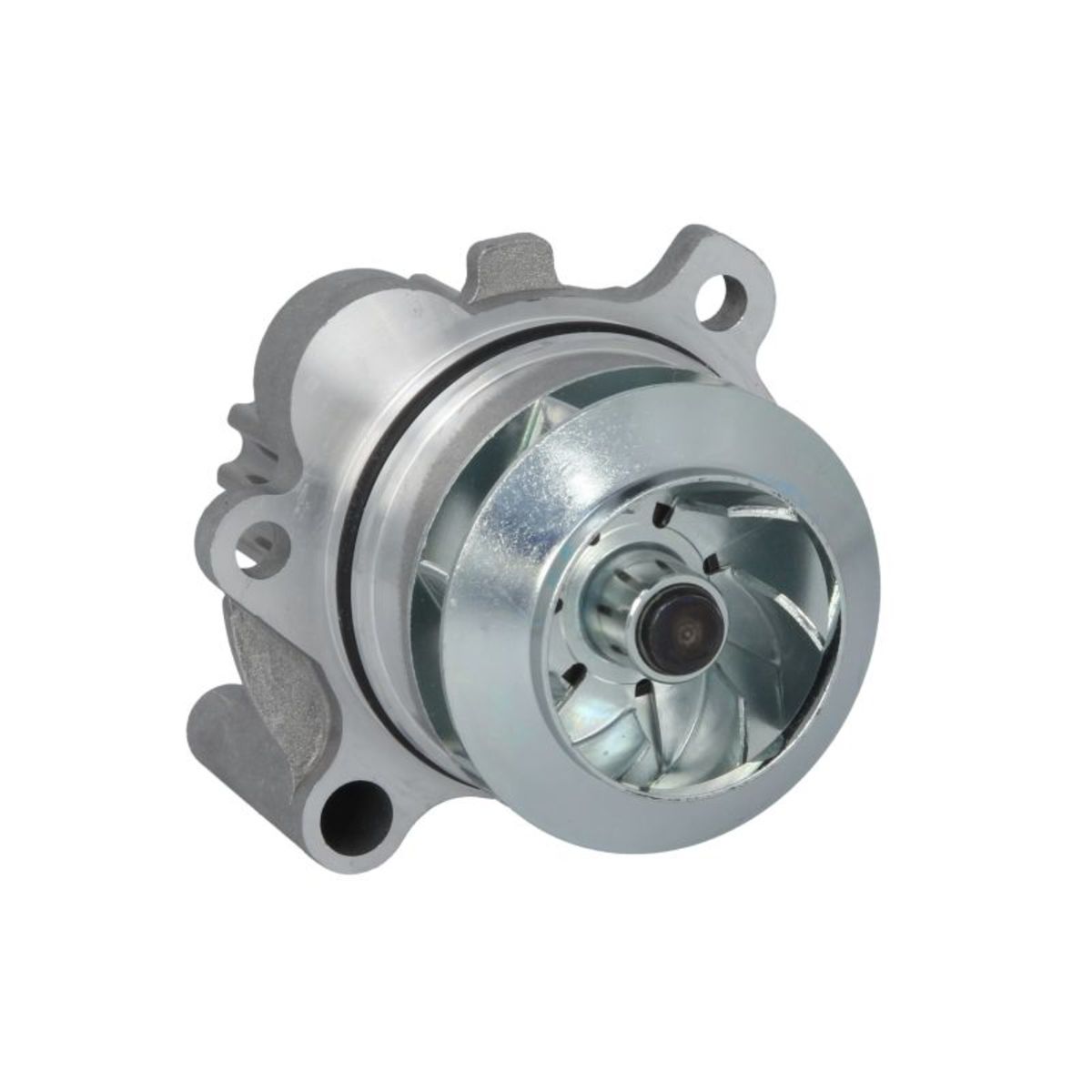 Hepu Pompa Dell'acqua P550