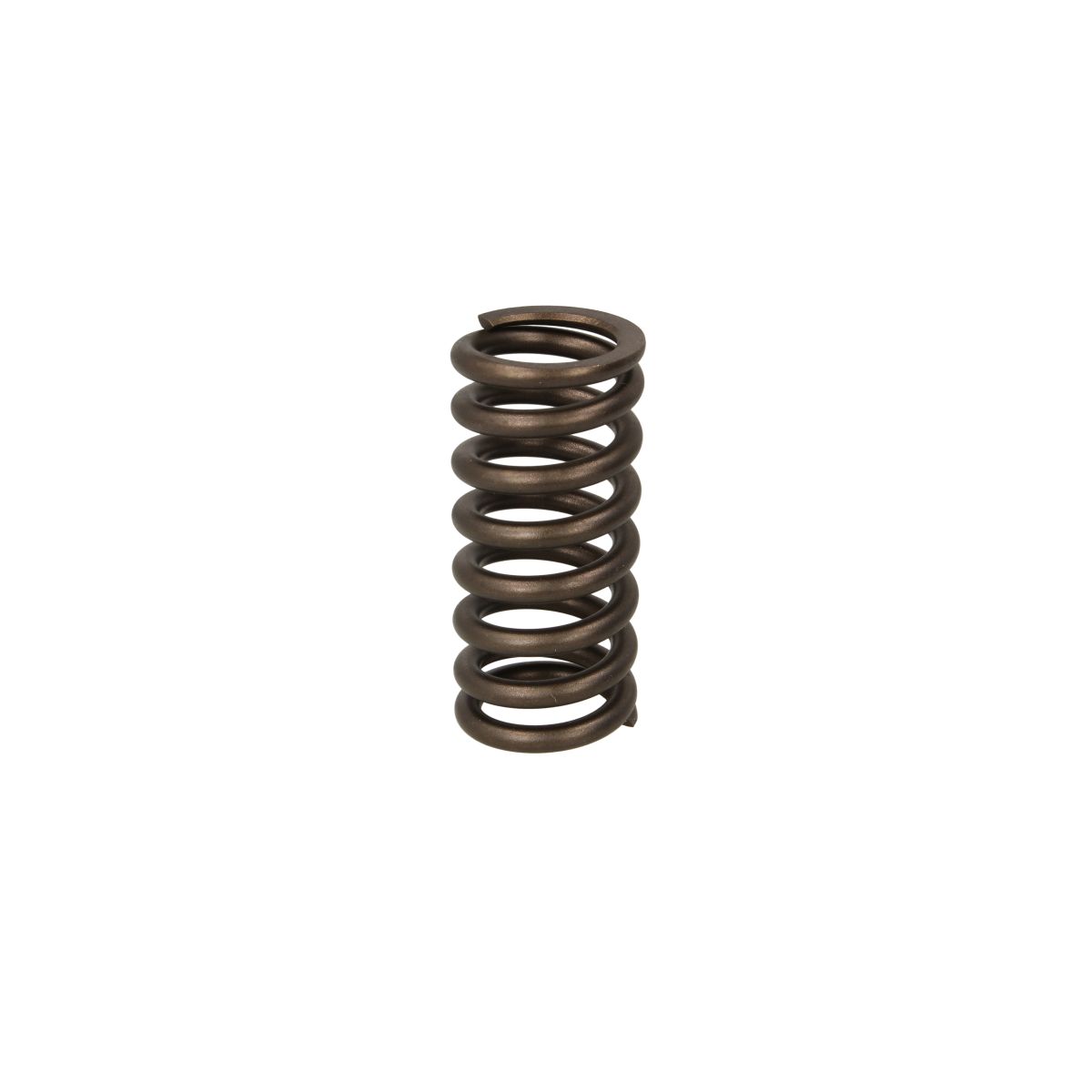 Delphi Element, Pumpendüse 7204-0263