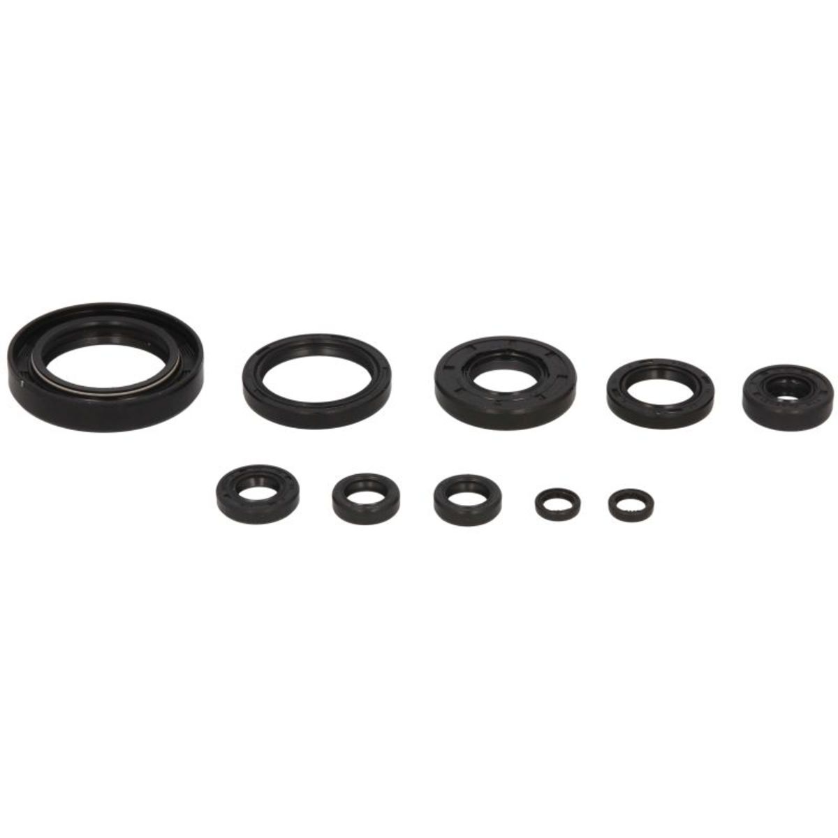 Motorsimmerringsatz WINDEROSA W822122
