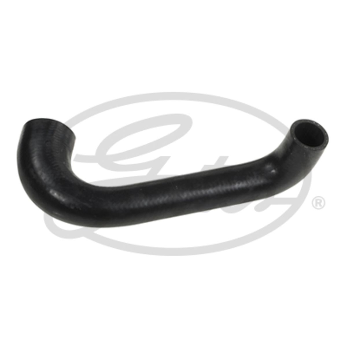 Image of Radiatorslang