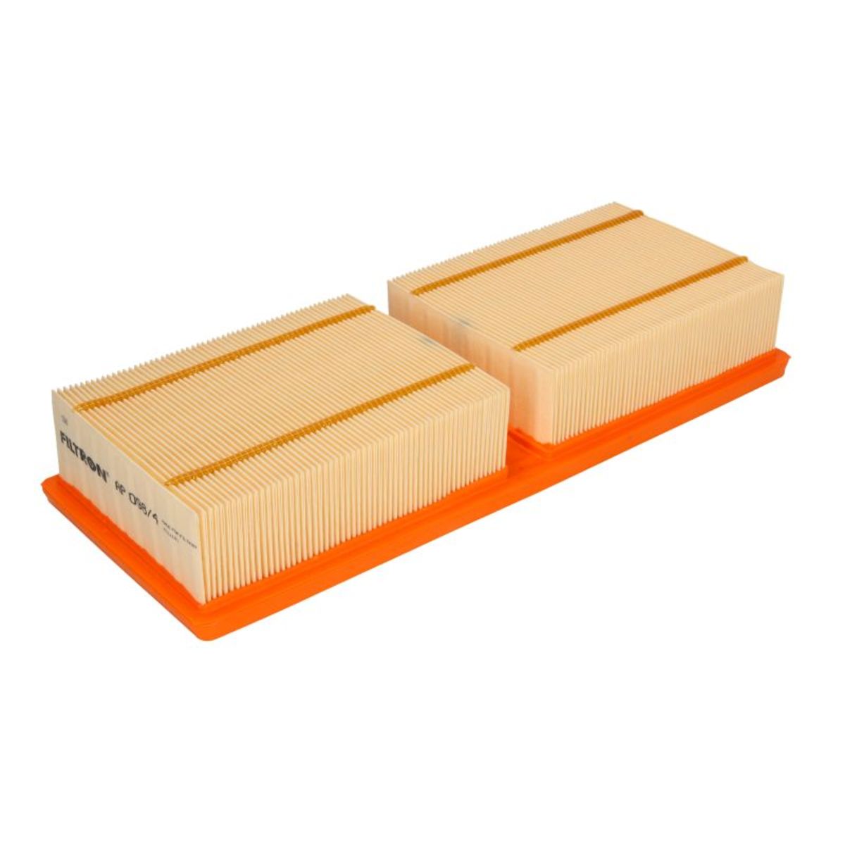 Filtron Luftfilter Ap 098/4