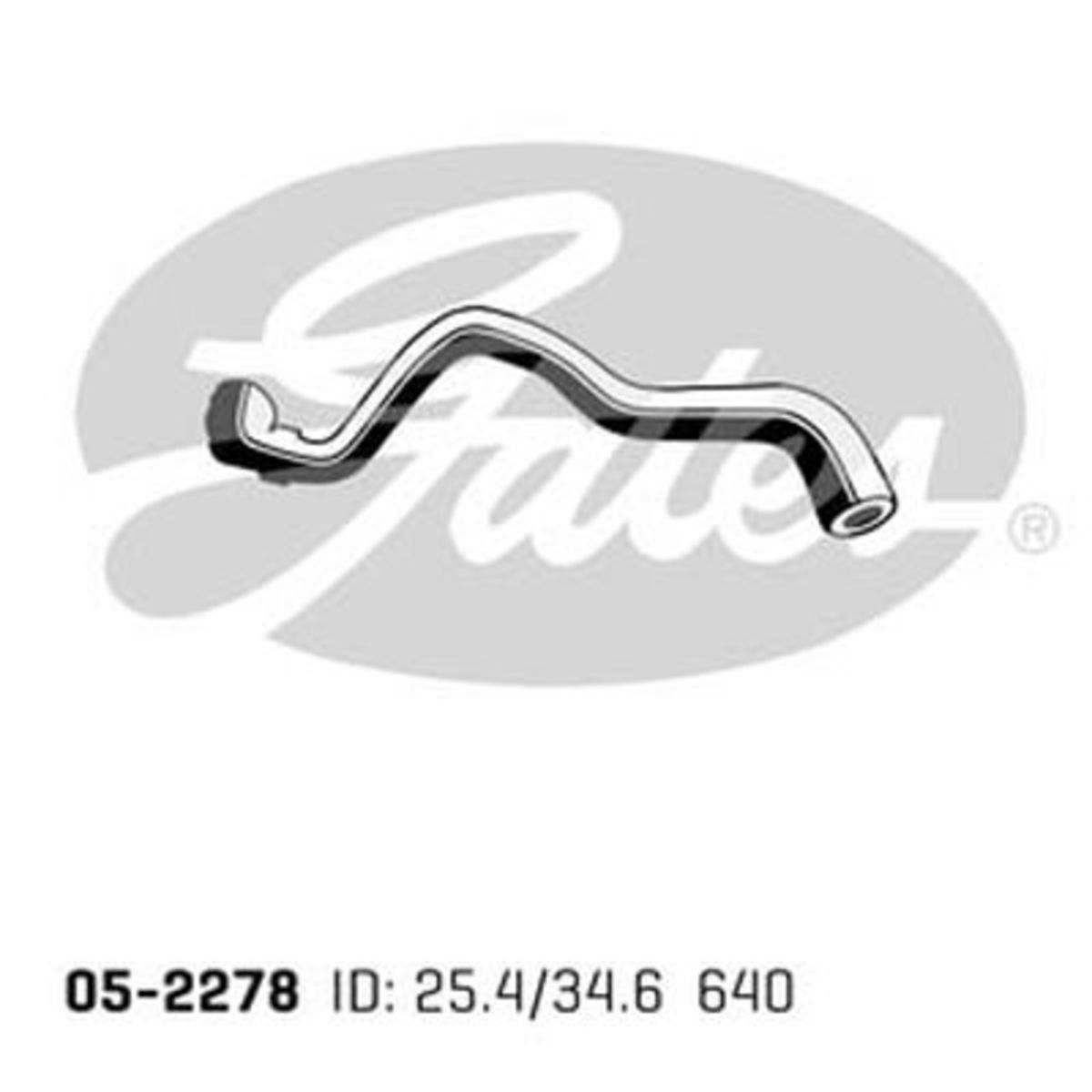 Image of Radiateurslang