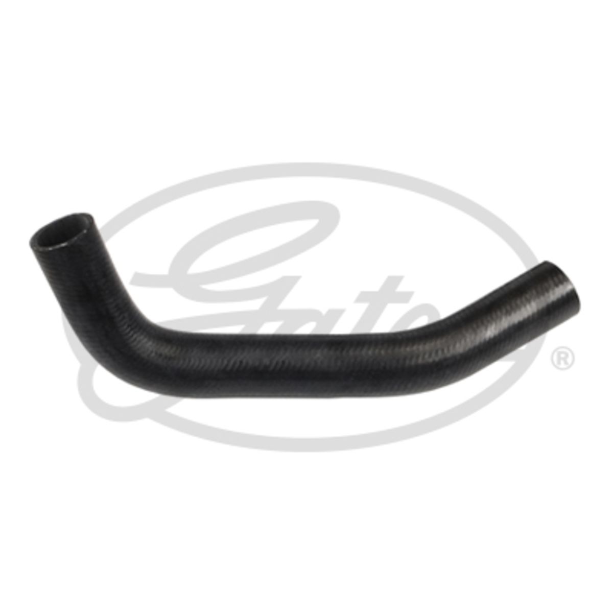 Image of Radiatorslang
