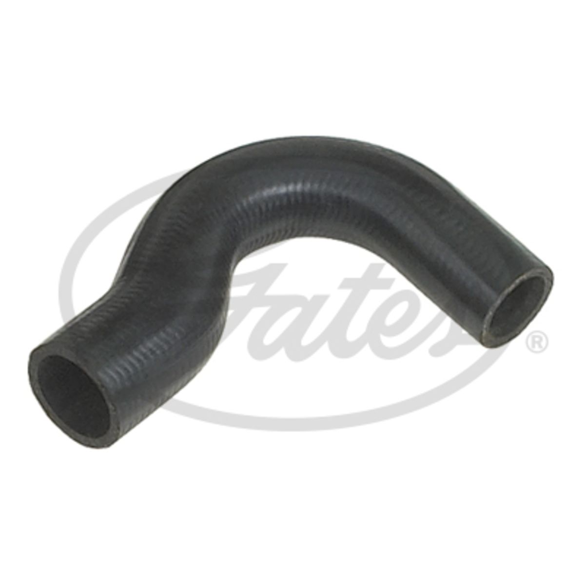 Image of Radiatorslang