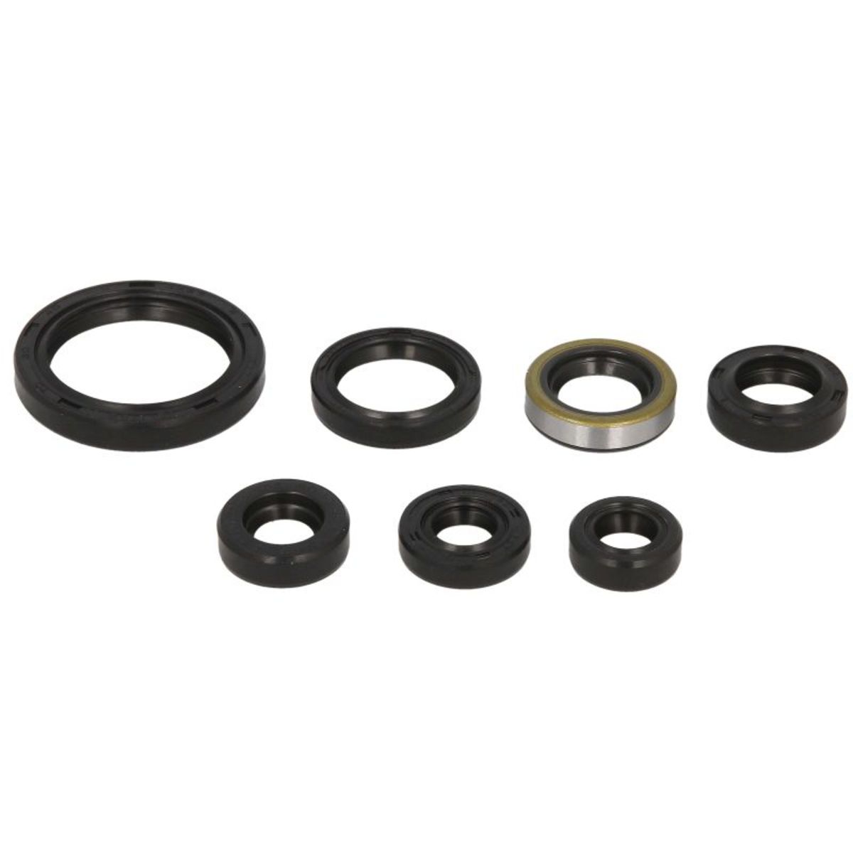 Motorsimmerringsatz WINDEROSA 822193