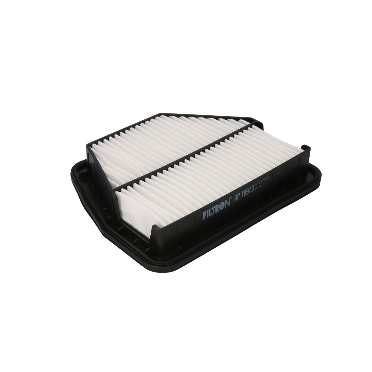 Filtron Filtro Aria Ap109/3