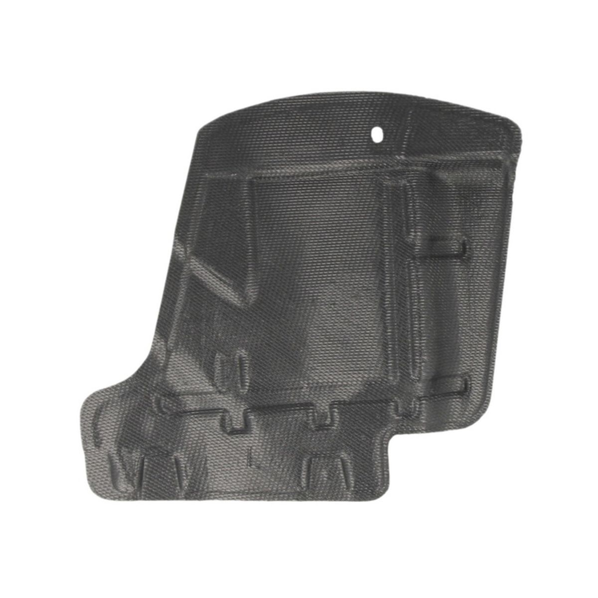 Blic Afdekking motor  6601-02-2048871P links