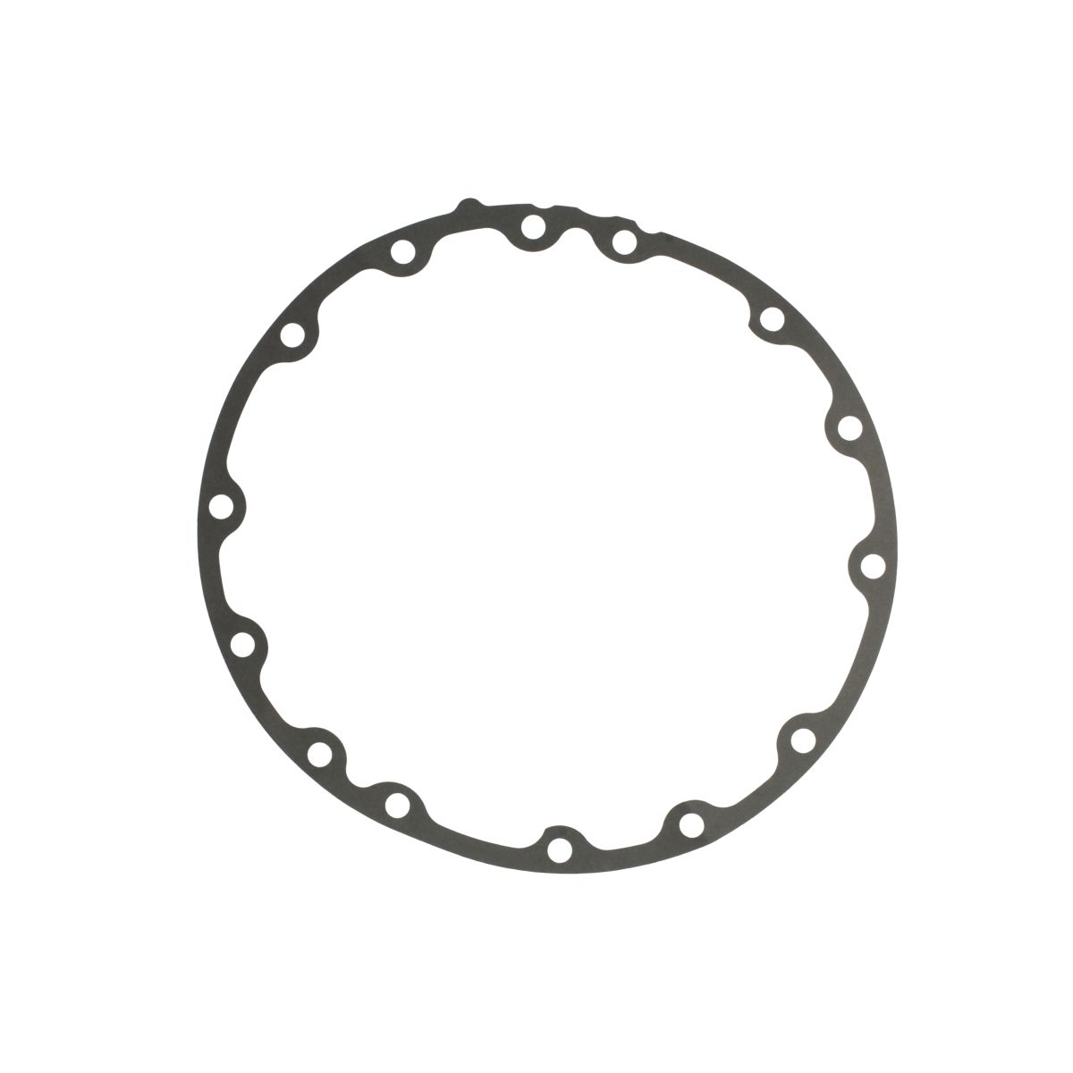 Image of Differentieel, afdichtingsring