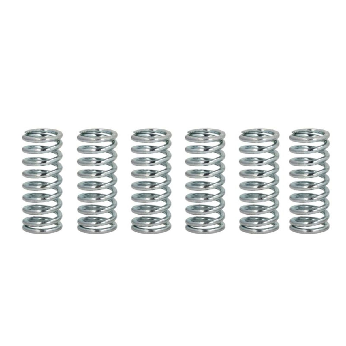 Kupplungsfedernsatz FERODO FSS0114