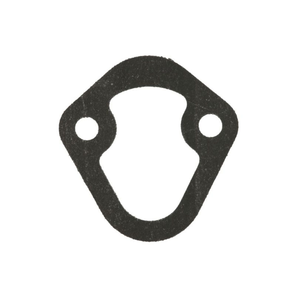 Image of Pakking, brandstofpomp  ENT011100